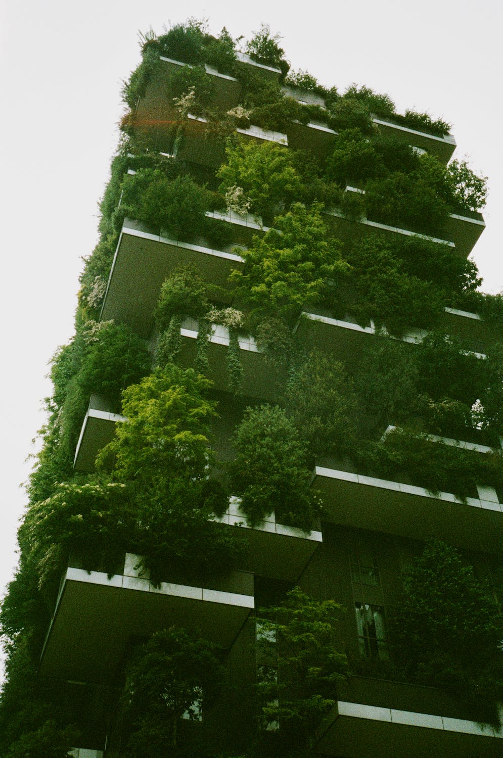 An example of a biophilic Building